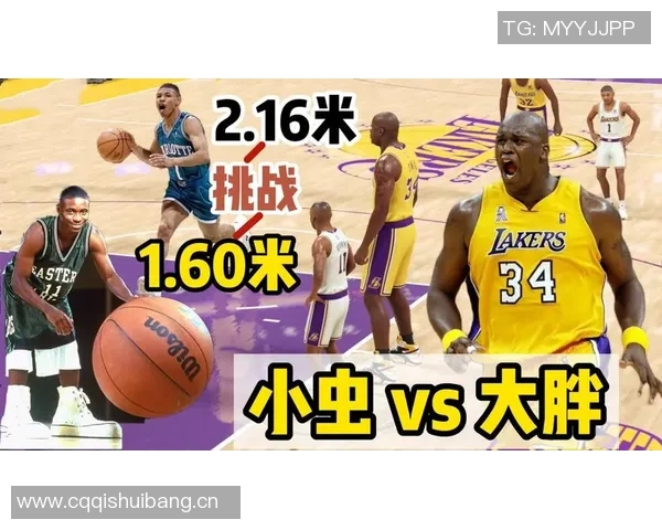 NBA 球员身高与位置匹配对攻防效率的影响分析